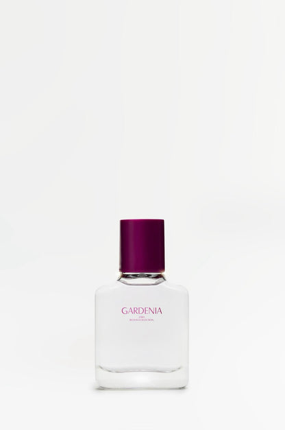 ZARA Gardenia Bloom collection, EDP 30 ml